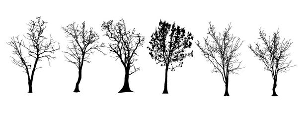Vector silhouette of tree. - Vector, Image