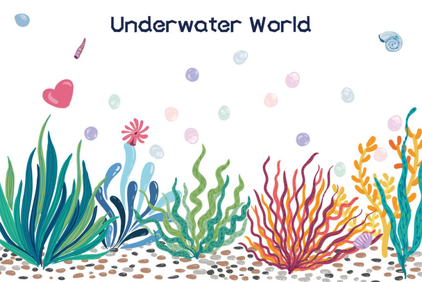 Beautiful vector seaweed, coral, shells, stones, underwater world - Vector, Image