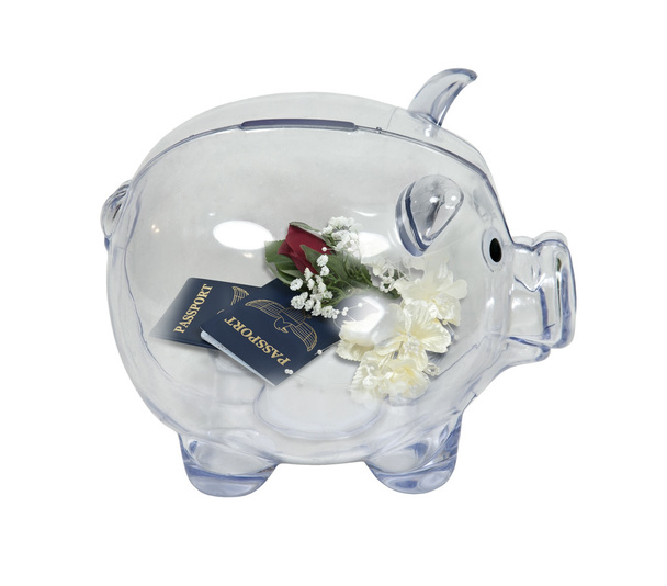 Honeymoon Savings - Photo, Image