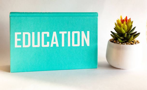 The word EDUCATION is written on a green notepad and a white background, next to a catus flower - Foto, Imagem