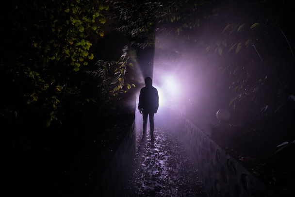 Silhouette of person standing in the dark forest with light. Horror halloween concept. strange silhouette in a dark spooky forest at night - Photo, Image