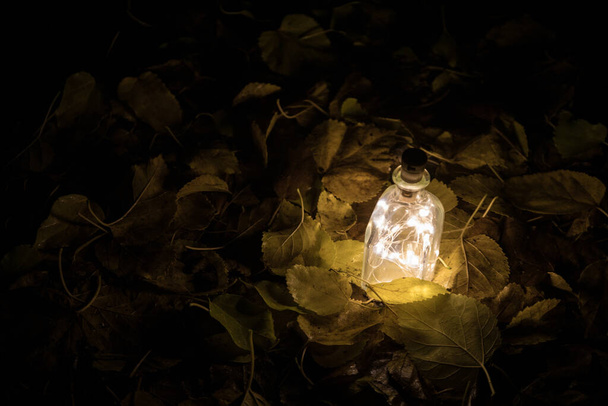 Schöne Aussicht auf Flasche mit Licht in der Nacht im Garten. Lampe Magischer Feenstaubtrank in der Flasche im Wald. Langzeitbelichtung. Selektiver Fokus - Foto, Bild