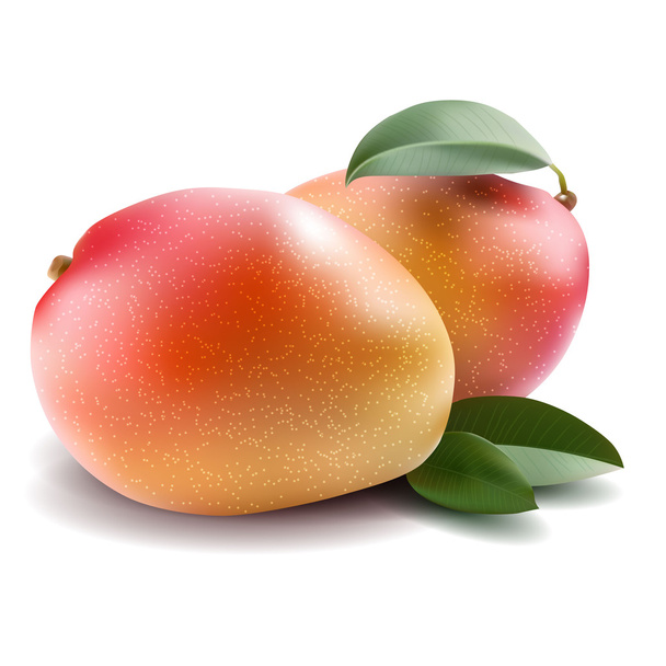 Mango - Vektör, Görsel