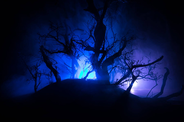 Spooky dark landscape showing silhouettes of trees in the swamp on misty night. Night mysterious forest in cold tones . Tree branches against the full moon and dramatic cloudy night sky - Photo, Image
