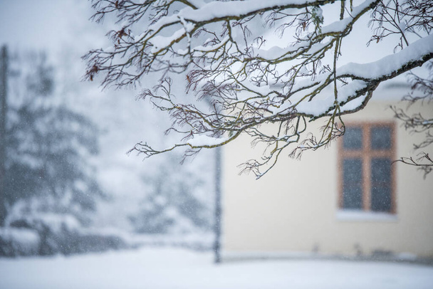 Una ventana de una casa de campo. Jardín de invierno con árboles nevados. - Foto, imagen