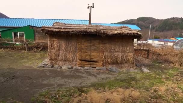 Традиционный затаившийся дом в Уллехадо, Корея - Кадры, видео