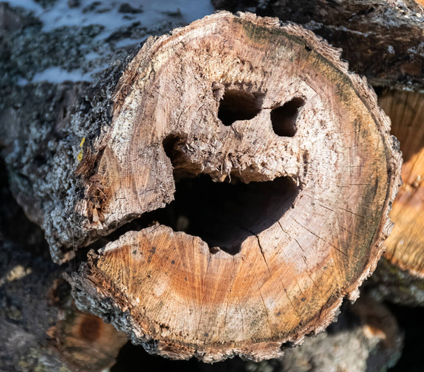 Hrozný emotikon na stromě. Kmen, smajlík, démon, úsměv - Fotografie, Obrázek