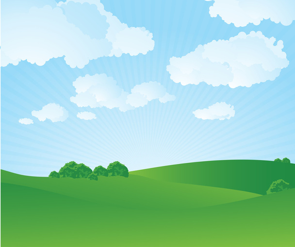 Green grass and bright sky. - Vector, Image