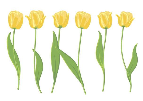 tulipes jaunes. - Vecteur, image