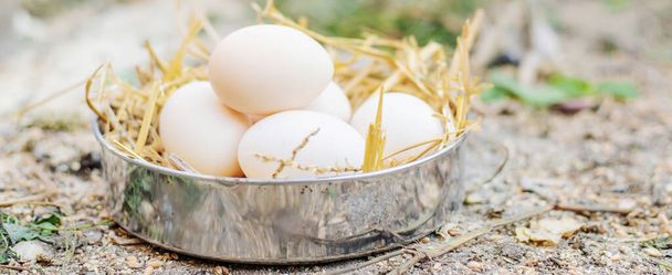Çiftlikteki samanlıkta taze tavuk yumurtası. Seçici odaklanma. Yemek - Fotoğraf, Görsel