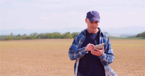 Агроном работает над планшетом на молодом кукурузном поле - Кадры, видео