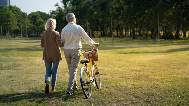 Beyaz tenli, olgun çiftlerin el ele tutuşup, sonbaharda parkta rahatça dolaşmaları romantik çiftler, yaşlı insanların evlilik hayatı, mutlu emeklilik. - Fotoğraf, Görsel