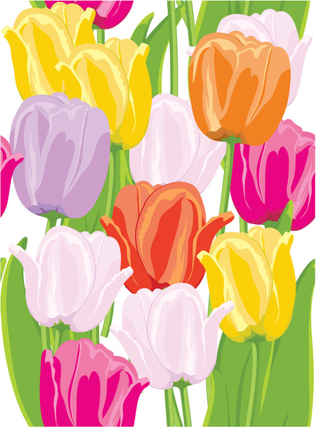 tulipes. - Vecteur, image