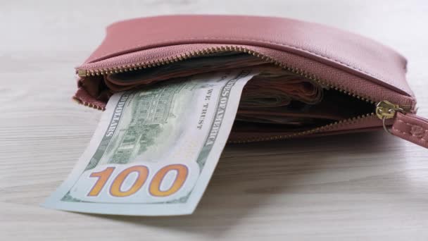 Růžová peněženka se stodolarovou bankovkou a spoustou peněz. Finanční, výdajové a příjmové koncepce  - Záběry, video