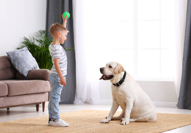Full body side view of little boy holding small ball in raised hand while playing with adorable obedient Labrador retriever dog at home - Foto, afbeelding