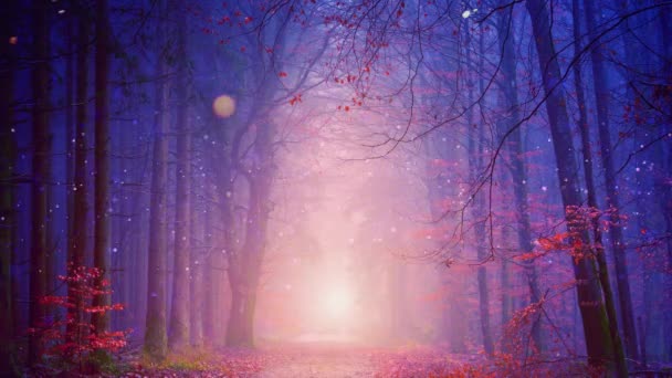 Magische bos fee verlichting achtergrond - Video