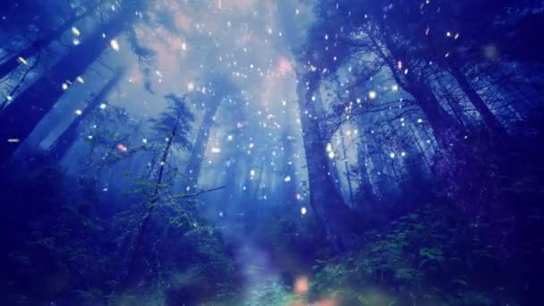 Magische bos fee verlichting achtergrond - Video