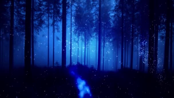 Magiczny las bajki światła tła - Materiał filmowy, wideo