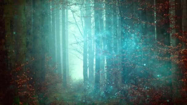 Волшебные лесные огни фон - Кадры, видео