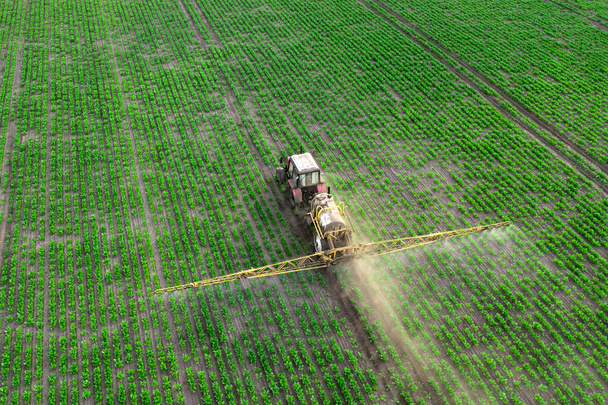 Весенние сельскохозяйственные работы на полях. Трактор опрыскивает посевы гербицидами, инсектицидами и пестицидами.. - Фото, изображение