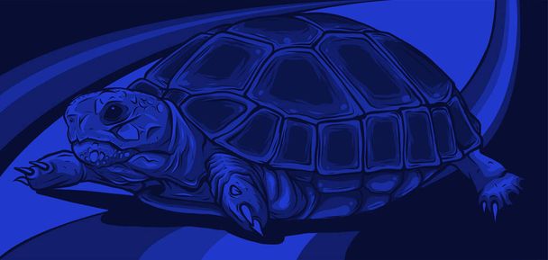 Vetor de desenhos animados em tartaruga de fundo colorido. vetor - Vetor, Imagem