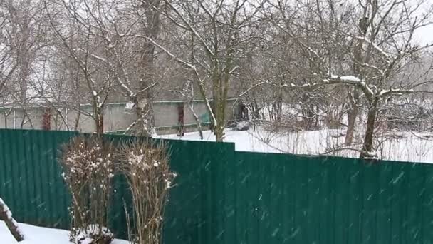Белый снег падает на землю - Кадры, видео
