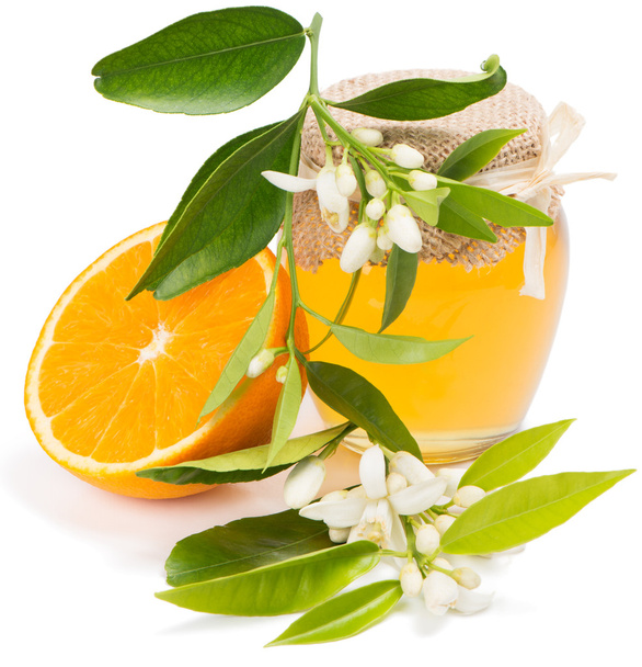  honey, fruit, blossom of orange - Foto, Imagen