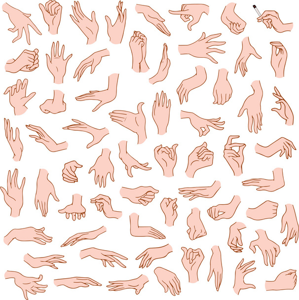 Woman Hands Pack - Vector, Image