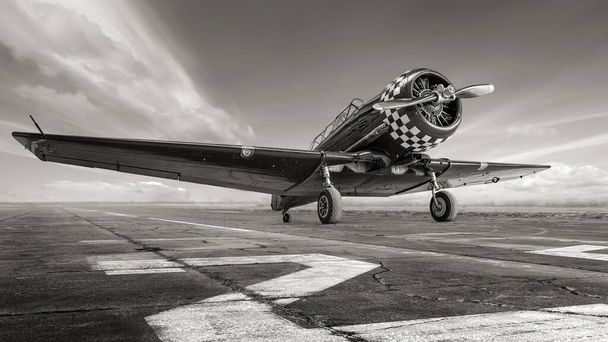 aviones históricos en una pista de aterrizaje - Foto, Imagen