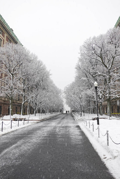 Манхэттен, Нью-Йорк, США. Февраль 2021 года. Люди прогуливаются по дороге вокруг территории Колумбийского университета в Манхэттене. - Фото, изображение