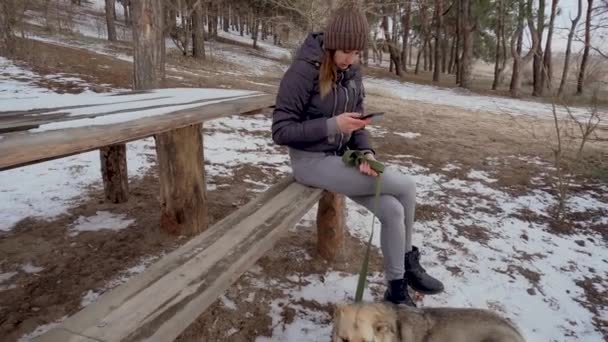 Linda joven sentada con teléfono móvil en un banco de madera hecho a mano con su perro pastor en collar con correa en el bosque de pino de invierno con nieve - Imágenes, Vídeo