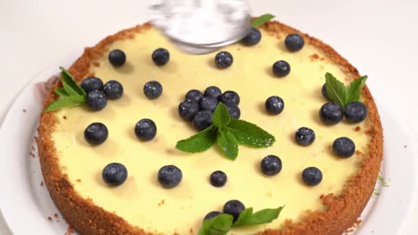 homemade cheesecake hand decorating with powdered sugar, blueberry and mint.  - Footage, Video