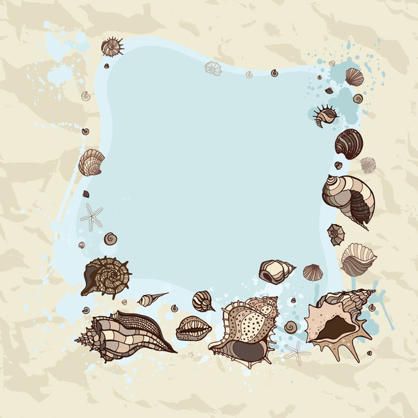 Summer Frame of seashells. - Vector, Image