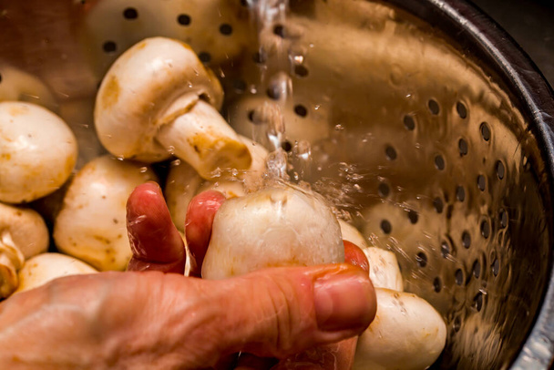 Close-up van chef-kok spoelen biologische knoopchampignons (agricus bisoris) onder een koud lopende kraan in een roestvrij stalen vergiet - Foto, afbeelding