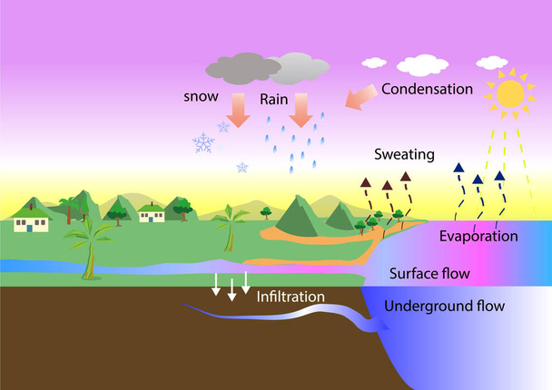 cycle de l'eau. évaporation et pluie. Le soleil, qui anime le cycle de l'eau, réchauffe l'eau dans les océans et les mers. géographie - Vecteur, image
