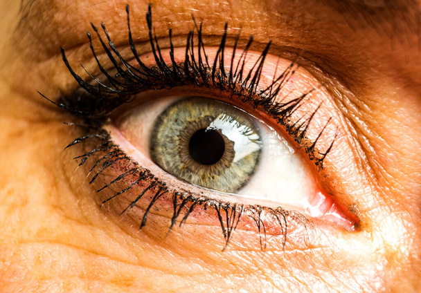 Зелене або сіре жіноче око макро або крупним планом фотографії
 - Фото, зображення