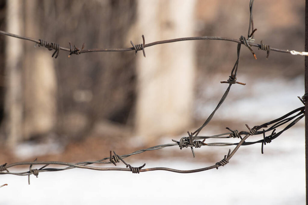 старая ржавая ограда с колючей проволокой, закрытая территория - Фото, изображение