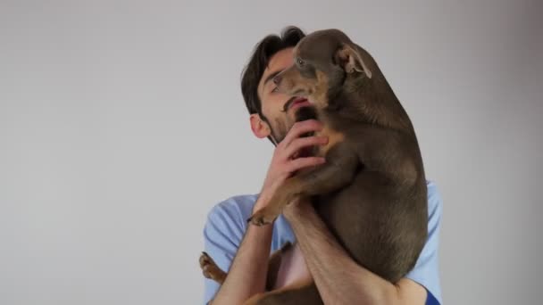 Egy szakállas fiatalember portréja. A fickó a karjaiban tartja a kutyát és megcsókolja. Háziállatok. Csivava. 4K - Felvétel, videó