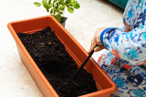 Garçon plantation plante dans un pot à la maison - Photo, image
