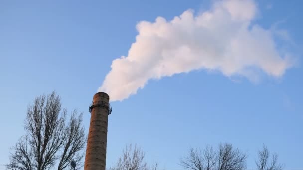 Установка труб с серым дымом на голубом небе, химический завод башни атомной электростанции против голубого неба - Кадры, видео
