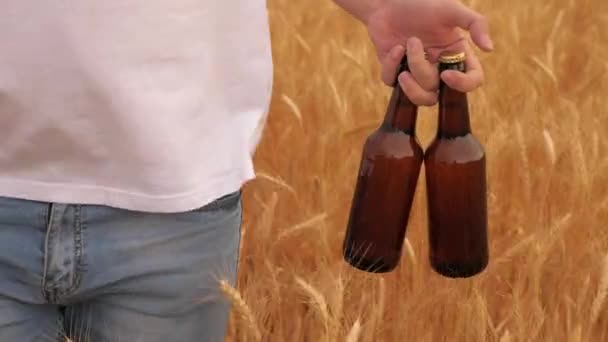 Boeren brouwer draagt vers koud bier door een veld van rijpe tarwe. Lekker licht alcoholisch bier drinken in een mensenhand. Een man met twee flessen bier loopt door het tarweveld. Milieudrank. - Video