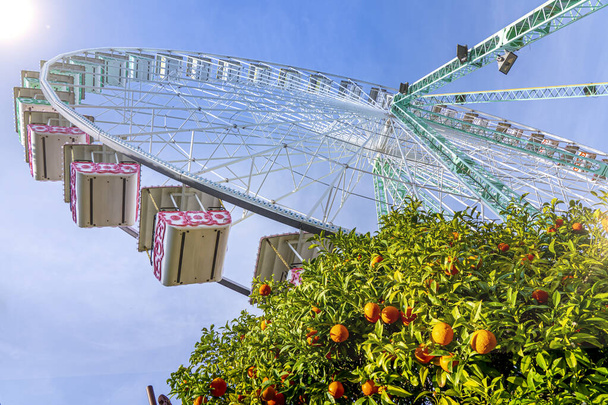 Ferris wheel in Nice, Cote d Azur, France. At the bottom of ferries wheel orange tree with ripe fruits - Photo, Image