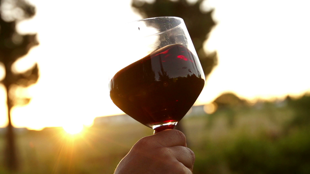rode wijn wordt wervelde in wijnglas - Video