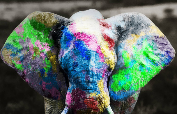 Colorful elephant art paint , festive tradition - Photo, Image