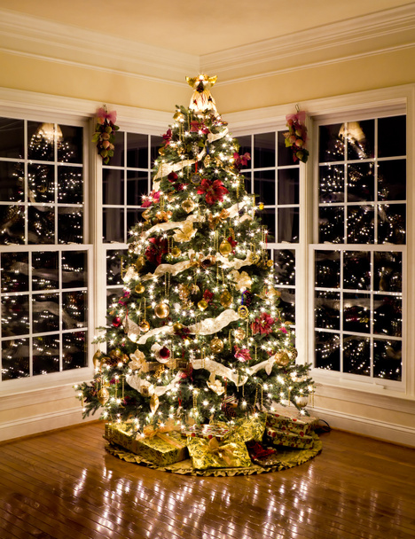 krásný vánoční strom v noci - Fotografie, Obrázek
