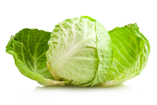 Cabbage - Photo, image