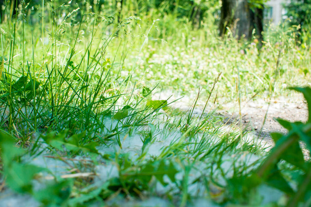 julio pelusa en la hierba y la arena - Foto, Imagen
