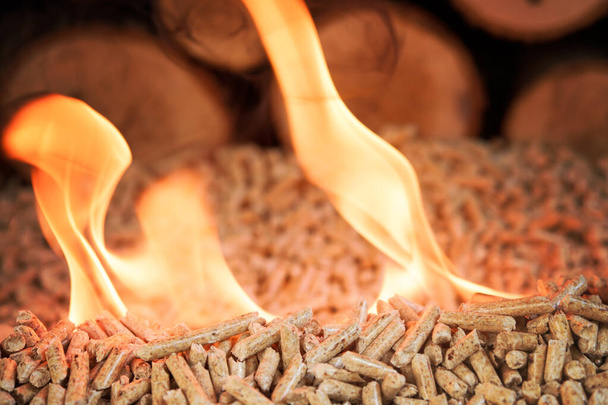 Stos granulek iglastych w płomieniach - biomasa drewniana - Zdjęcie, obraz