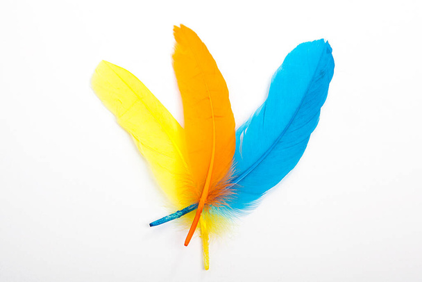 Colored feathers over white background.  - Photo, Image
