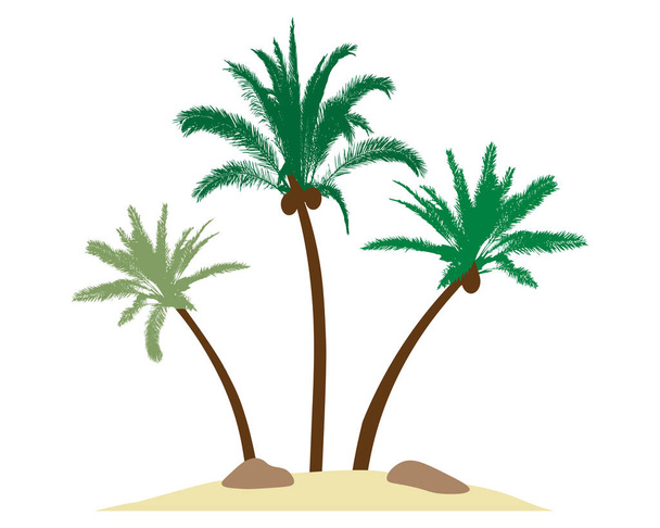 Piękne palmy z kokosami na wyspie, piasek, kamienie. Ilustracja wektora - Wektor, obraz